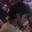 Aakash Shah