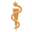 American Academy of Family Physicians