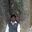Abilash Gopalakrishnan