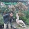 AhmadFauzi8