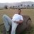 Ameya Patil