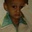 Amol Hiremath