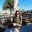 Ana Canelas