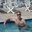 Anderson Mendes