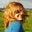AndreeaPourquoitucours