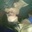 Andres Ivan Ortiz Coba