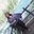 Andy Espinoza Rivas