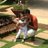 Animesh Goyal