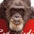 Ape Red Media