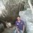 Ashok Charan Rao