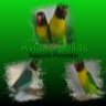 Aviario Bellas