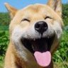 BrianLiang1