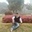Brijesh Yadav