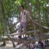 CenLinCiap