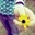 Chuchu Song