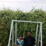 DrSalahuddin