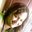 Evelia Tate