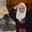 Eman Ahmed