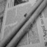 EvaristoPea