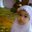 Fadhilah Ariff