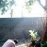 FauzanWakid