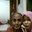 Febrian Nidhy