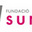 Surt, Fundació de dones,  Fundació privada