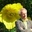 Gerard Vonk