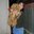 Ghinea Mirela