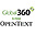 OpenText Global 360
