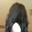 Graciella Abigael Loho