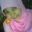 Haifa Kurniawati