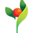 HealthEd