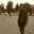 Himanshu Pareek
