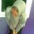 Imas Maesyaroh