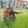 Annisa Morpho Rethenor Helena