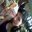Jenny Eli BC