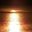 Jose Selaya
