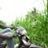 KetikaDiPertanyakan