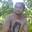 Kowshik Chanda