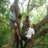 KumarBhargava1