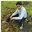 Lalit Kumar
