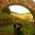 Lauren Cook