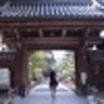 LillianWang1