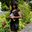 Loveleen Mishra