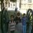 Maqsood Joyo
