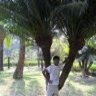 MasudRajBd