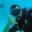 Menicke Divers