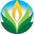 Natures Garden Candle Supplies