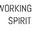 NetworkingSpirit